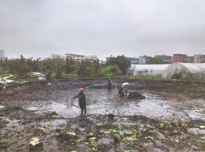 三门峡河道鱼塘清淤